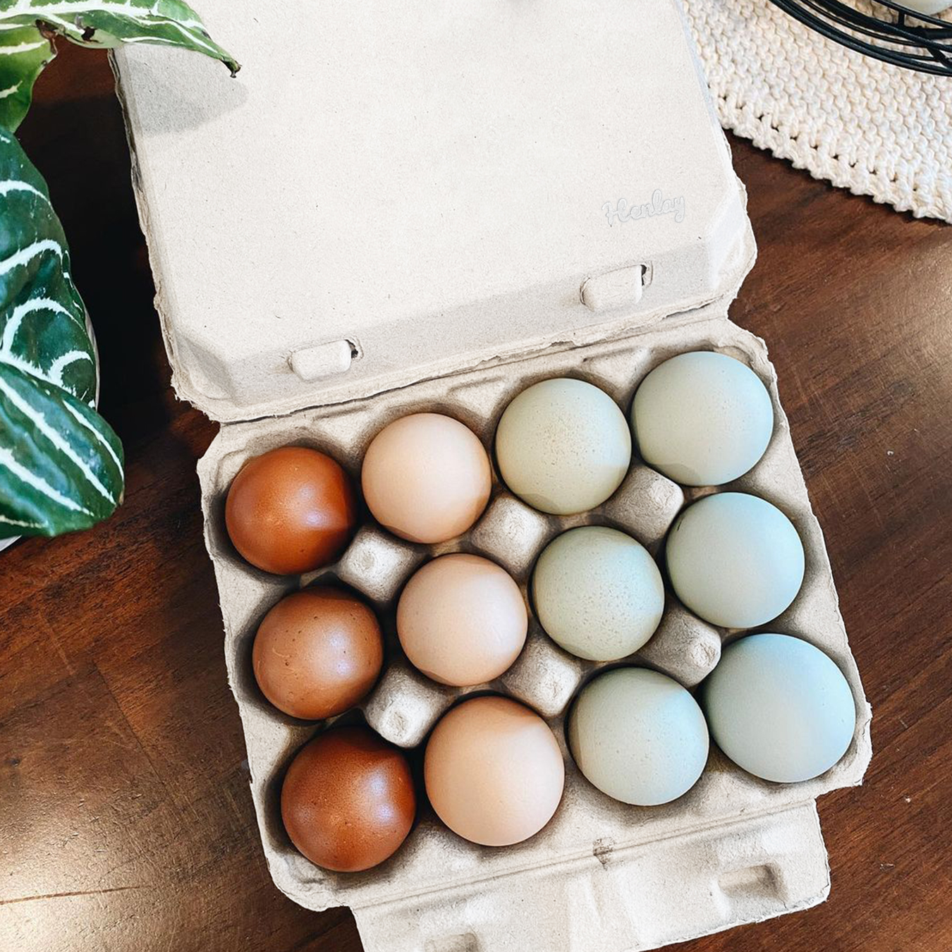 Chicken Accessories