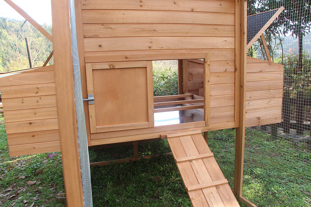 Resort Chicken Coop and Run