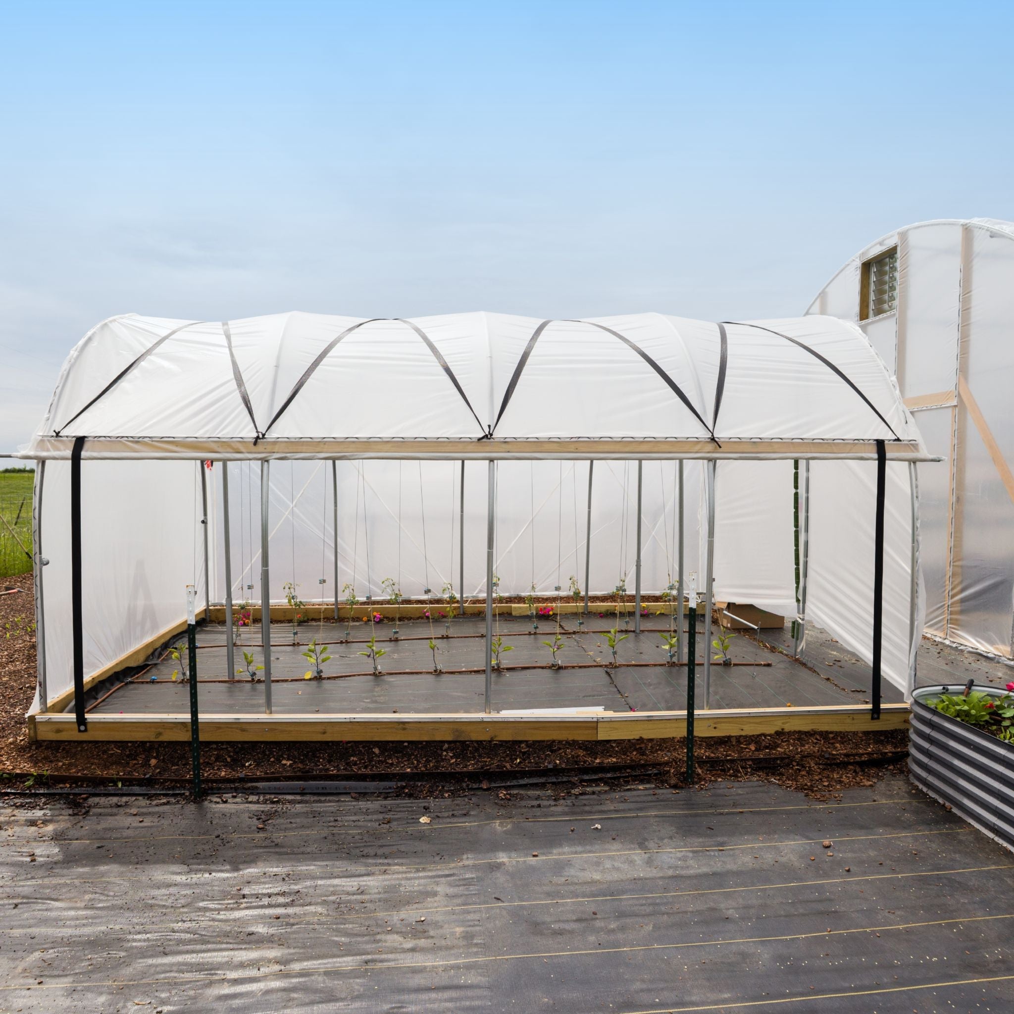 Bootstrap Farmer 10' Essential High Tunnel Kit - Roll-up Sides and End Wall Door Kit Included