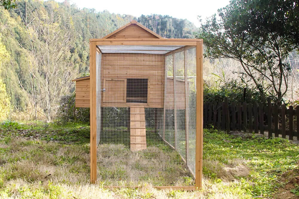 Resort Chicken Coop and Run