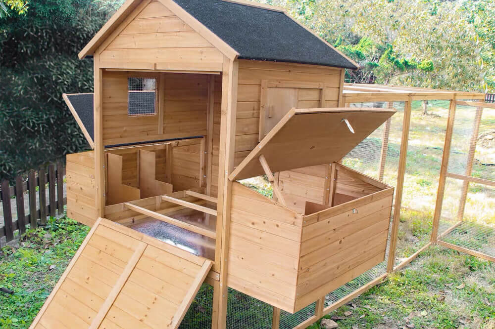 Resort Chicken Coop and Run