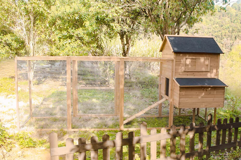 Resort Chicken Coop and Run