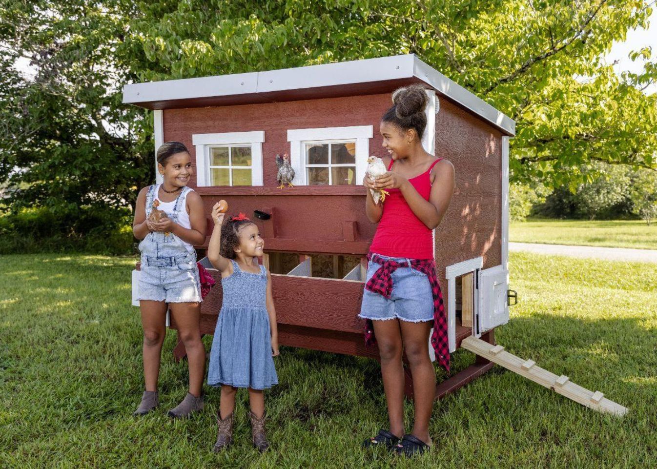 Large Chicken Coop - Up to 15 Chickens