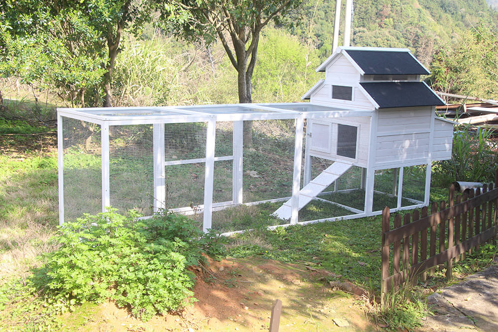 The Homestead House and Run