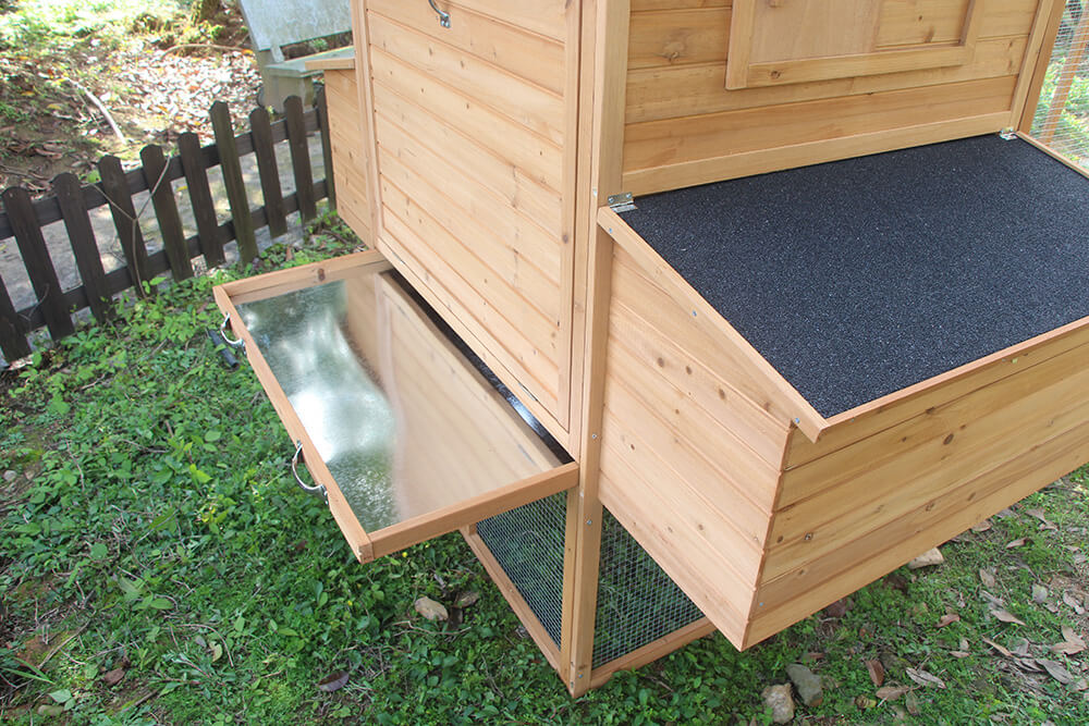 Resort Chicken Coop and Run