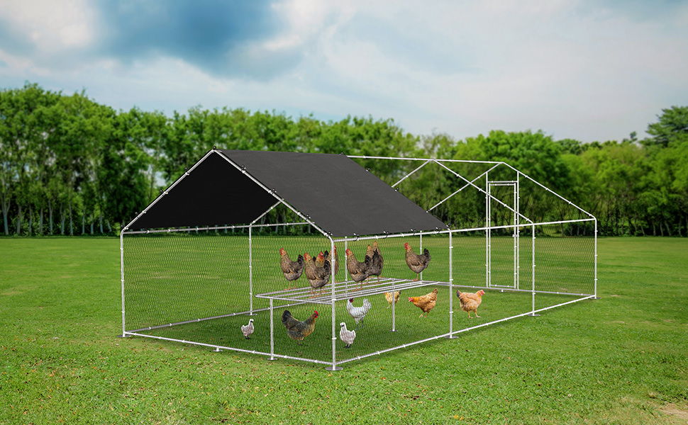 Large Metal Walk-in Chicken Coop Run Area