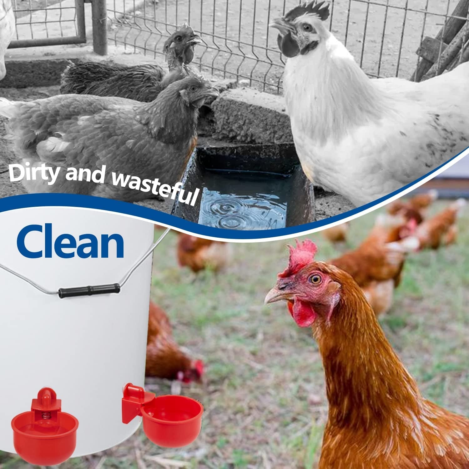 Chicken Waterer Cups 12 Pack Automatic Chicken Water Cups for Poultry  Float Style Gravity Chicken Watering System, Water Feeder Kit, 5 Gallon with Mounting Hole Opener