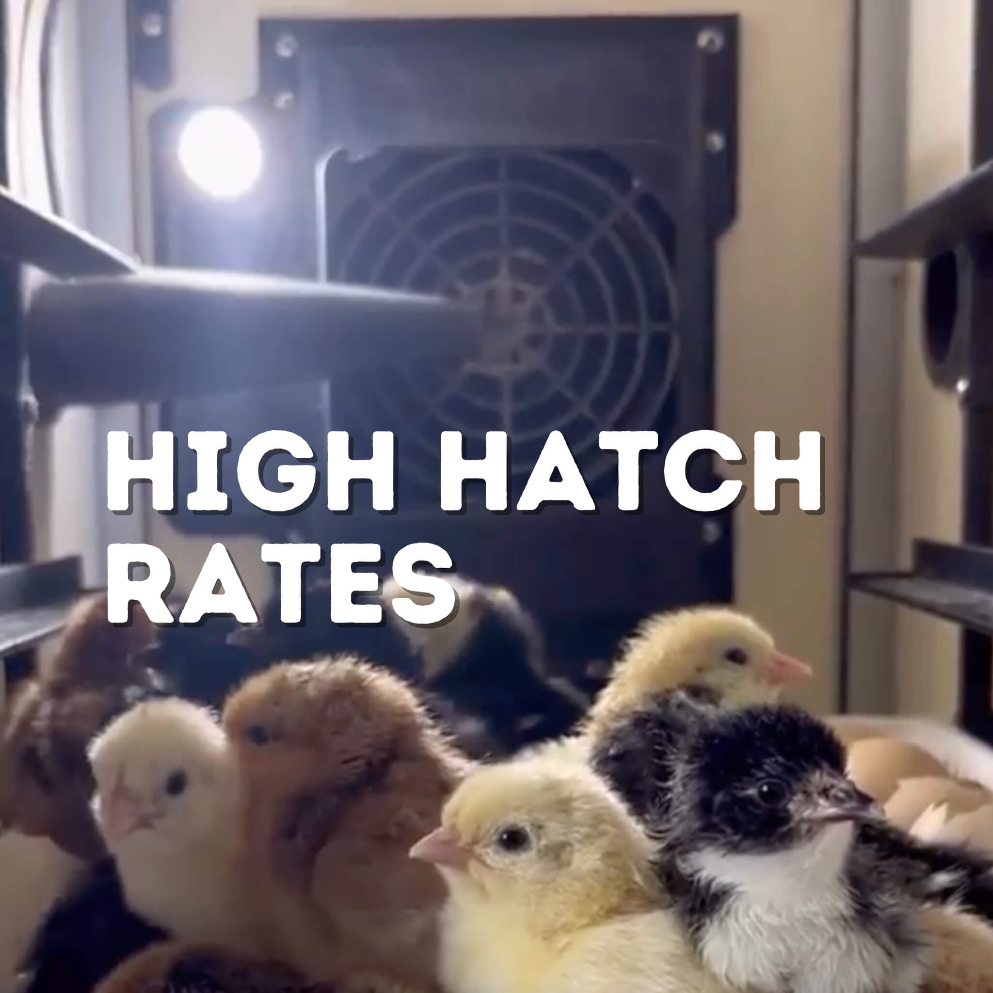 Hatching Time 360 Egg Incubator Kit - 180 Set + 180 Hatch