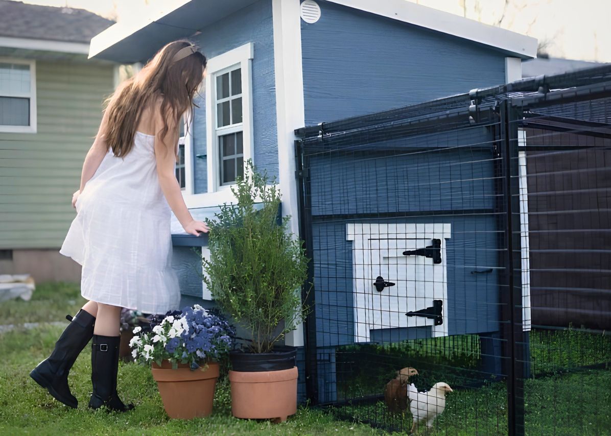 Large Chicken Coop - Up to 15 Chickens