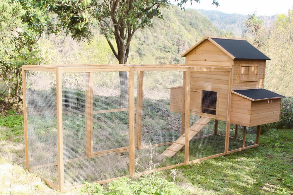 Resort Chicken Coop and Run