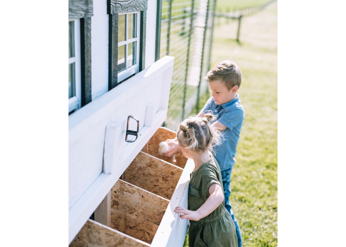 Large Chicken Coop - Up to 15 Chickens