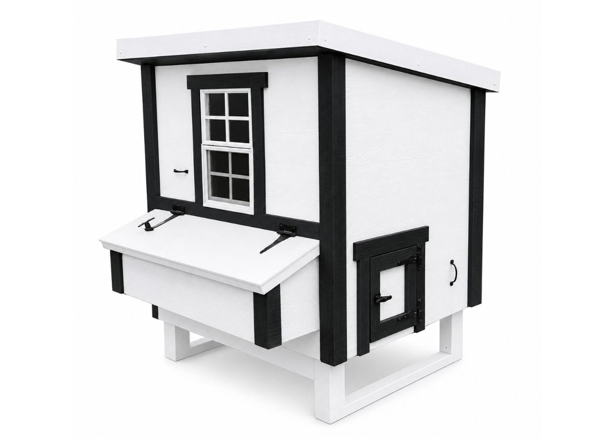 Medium Chicken Coop - Up to 10 Chickens