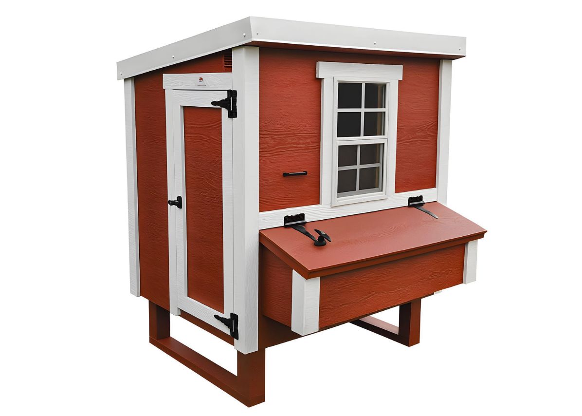 Medium Chicken Coop - Up to 10 Chickens