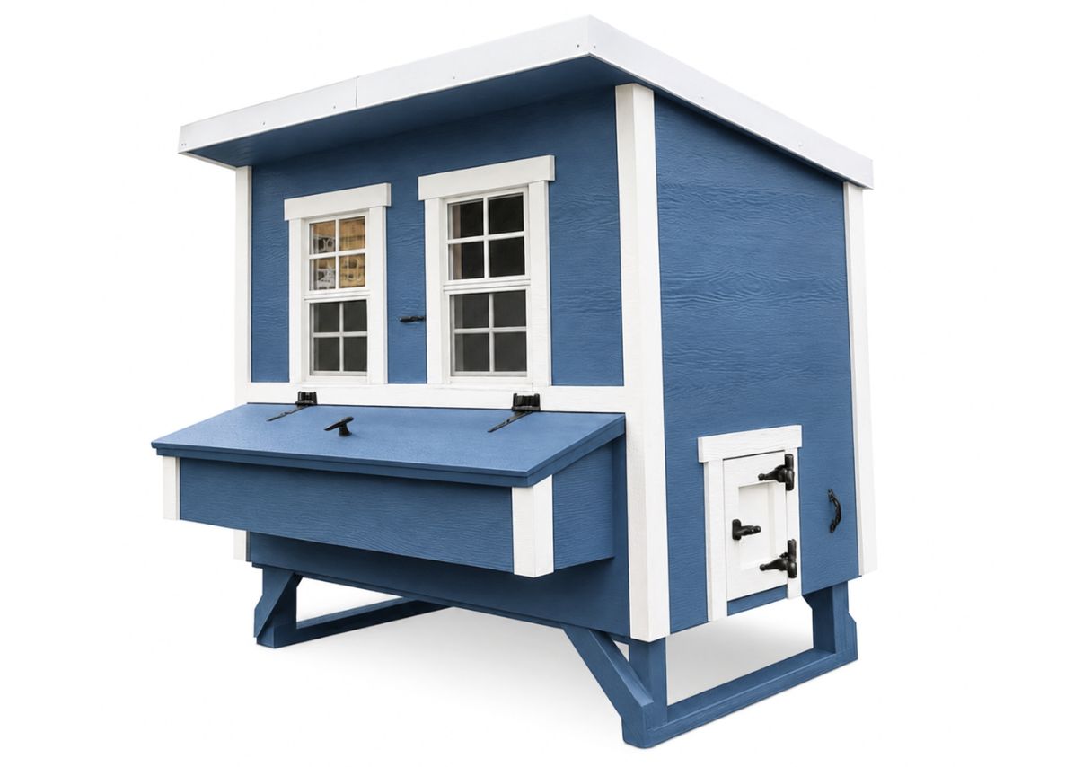 Large Chicken Coop - Up to 15 Chickens