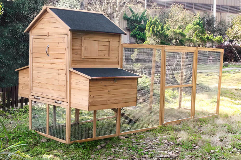 Resort Chicken Coop and Run