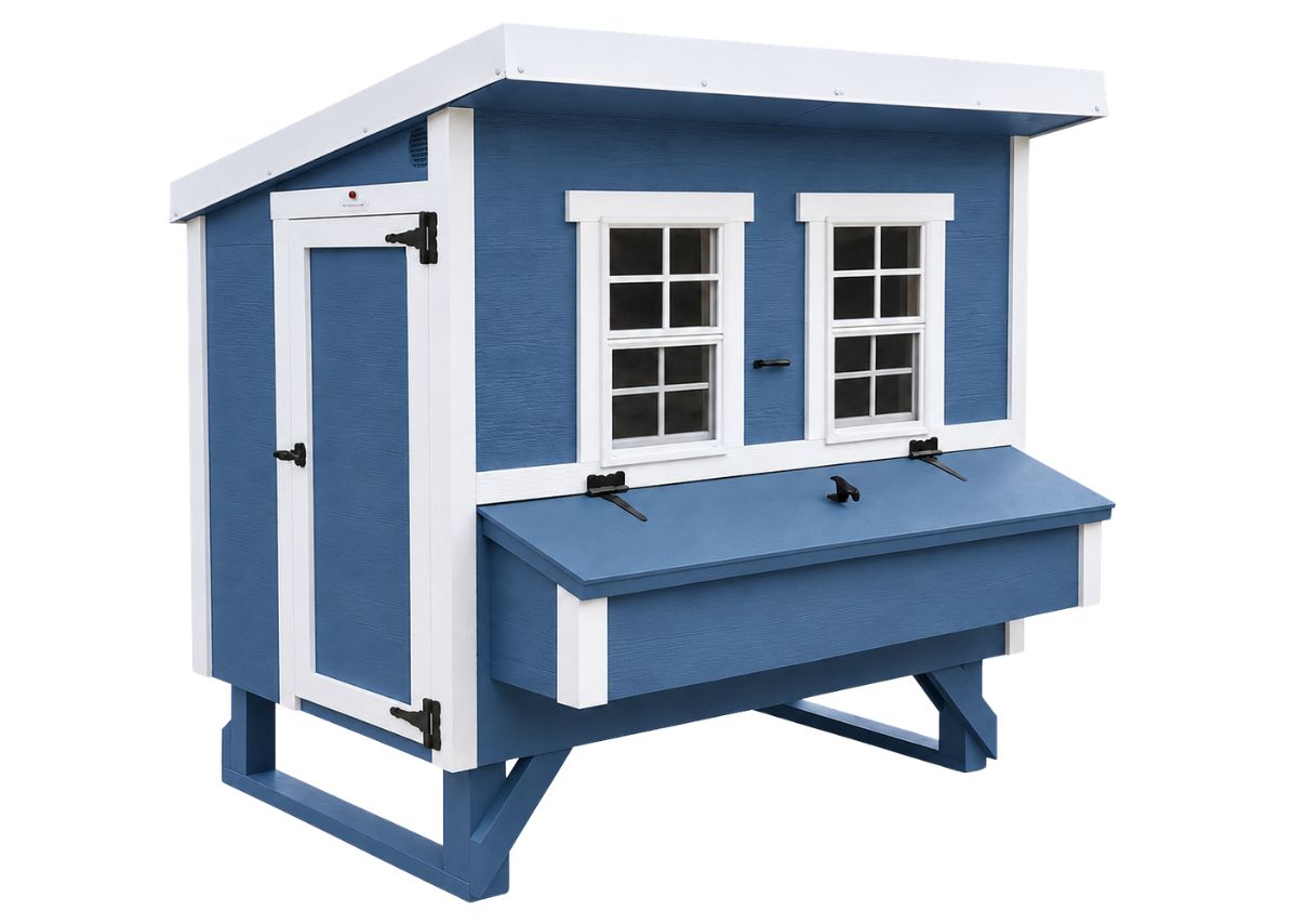 Large Chicken Coop - Up to 15 Chickens