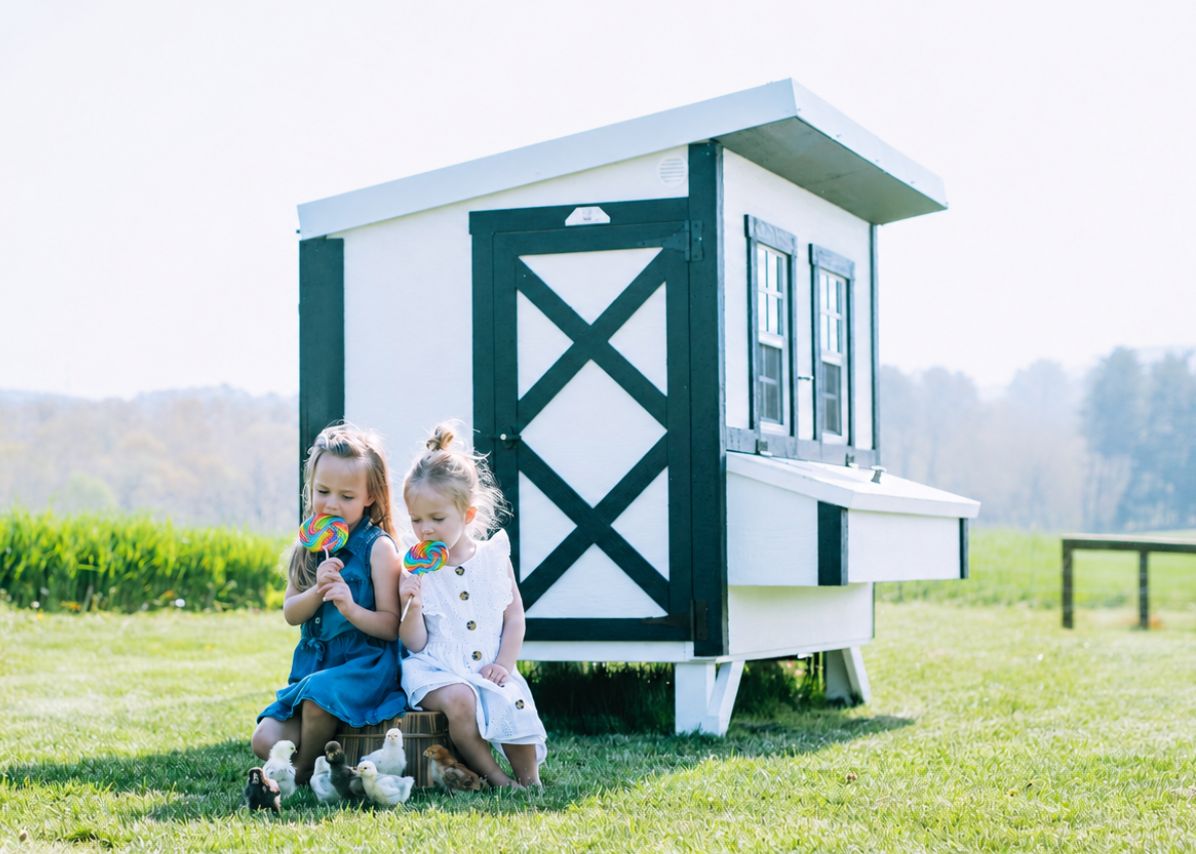 Large Chicken Coop - Up to 15 Chickens