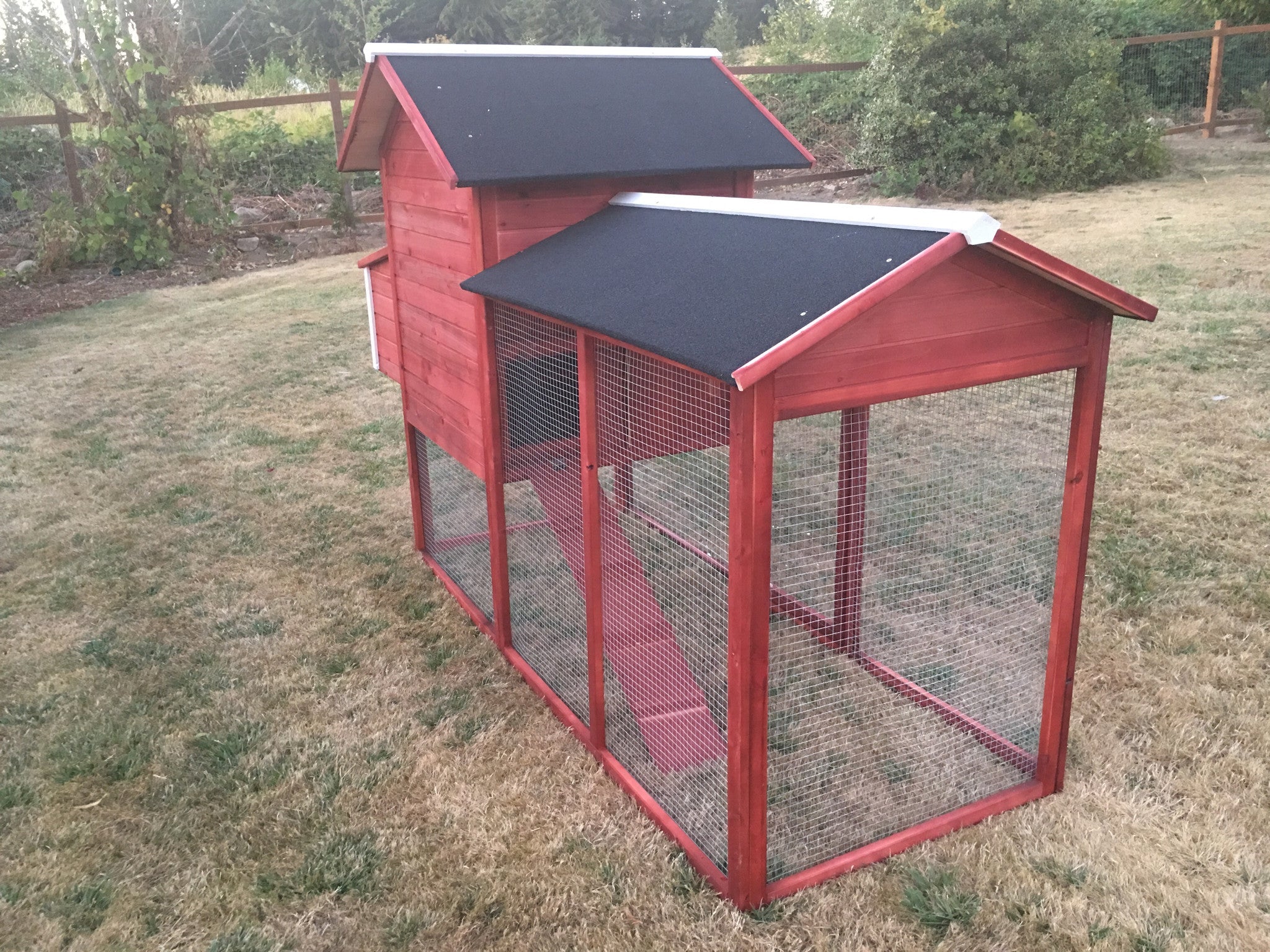 The Lodge Coop.   IN-STOCK