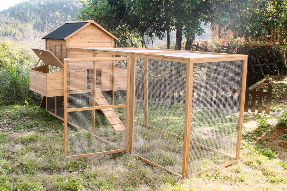 Resort Chicken Coop and Run