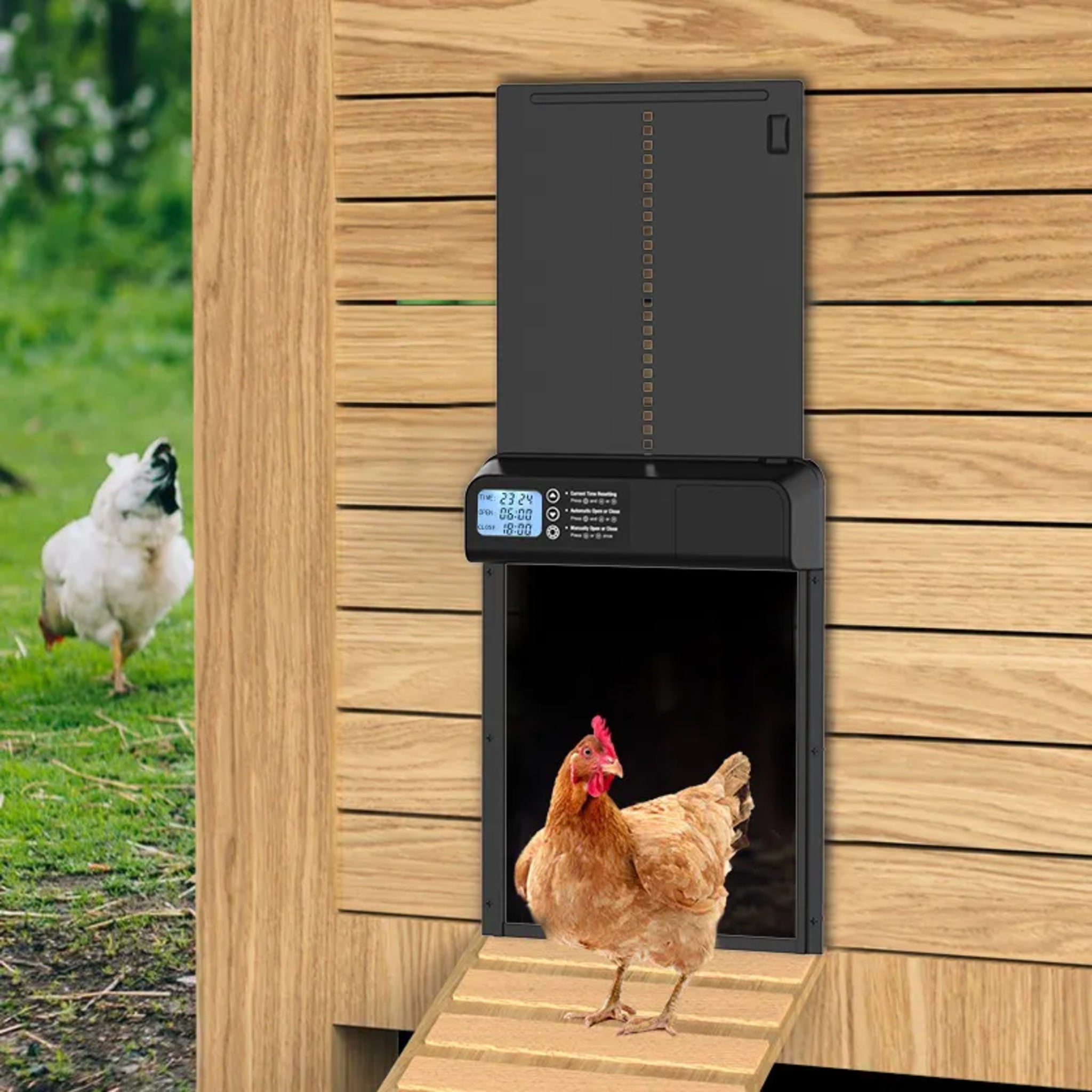 Hatching Time Smart Automatic Chicken Coop Door with Timer