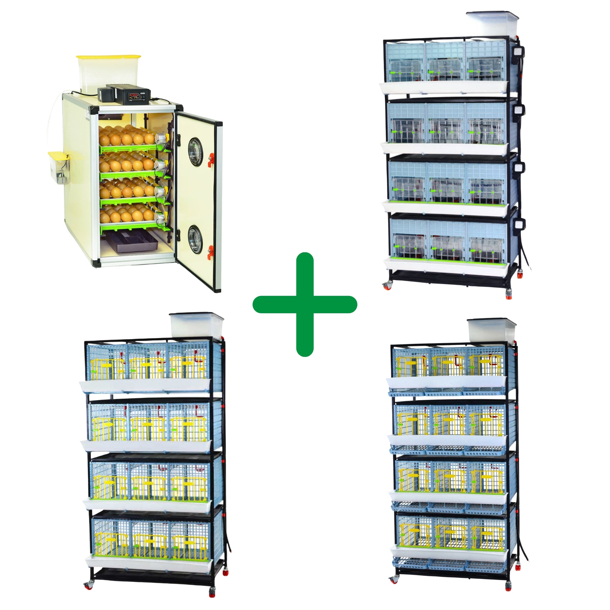 Hatching Time Chicken Breeding Professional Kit