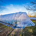Bootstrap Farmer Caterpillar Tunnel shown from a corner angle with greenhouse plastic secured over the steel hoop frame and butterfly-style end closed