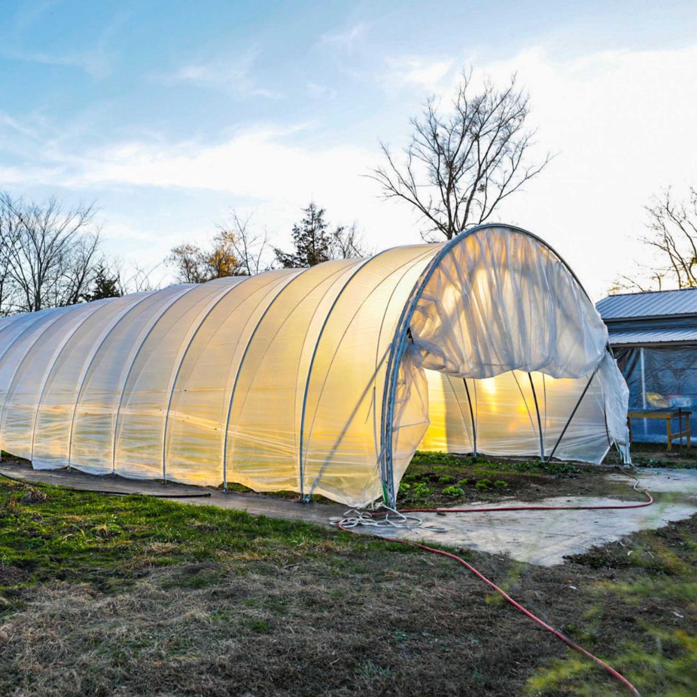 Bootstrap Farmer Caterpillar Tunnel with butterfly-style end rolled open, providing wide access and ventilation