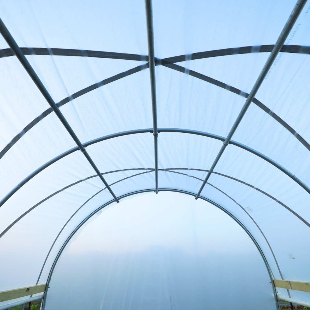 Bootstrap Farmer 10' × 12' Hobby Greenhouse Kit