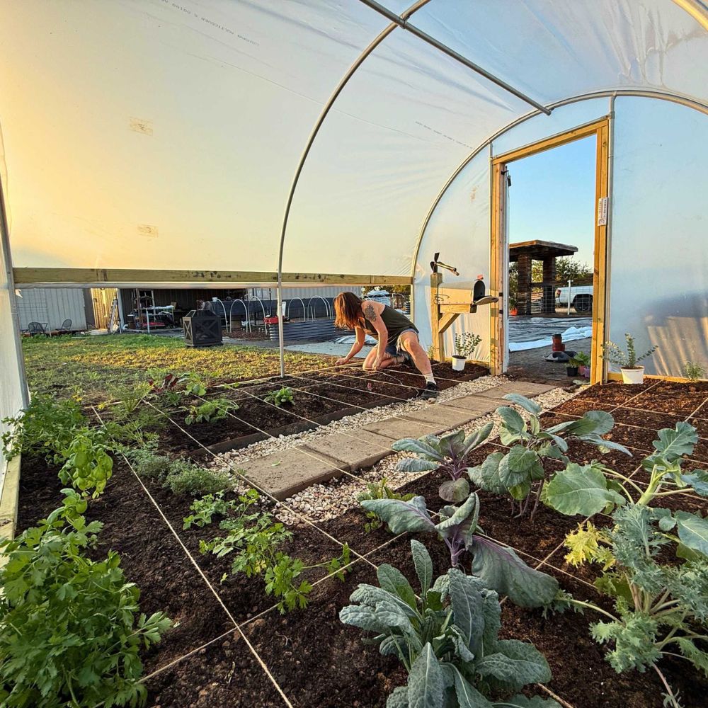 Interior of Bootstrap Farmer 10' × 12' Hobby Greenhouse with gardener tending vegetable beds and optional roll-up side open for ventilation
