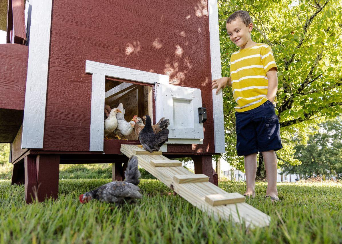 Large Chicken Coop - Up to 15 Chickens