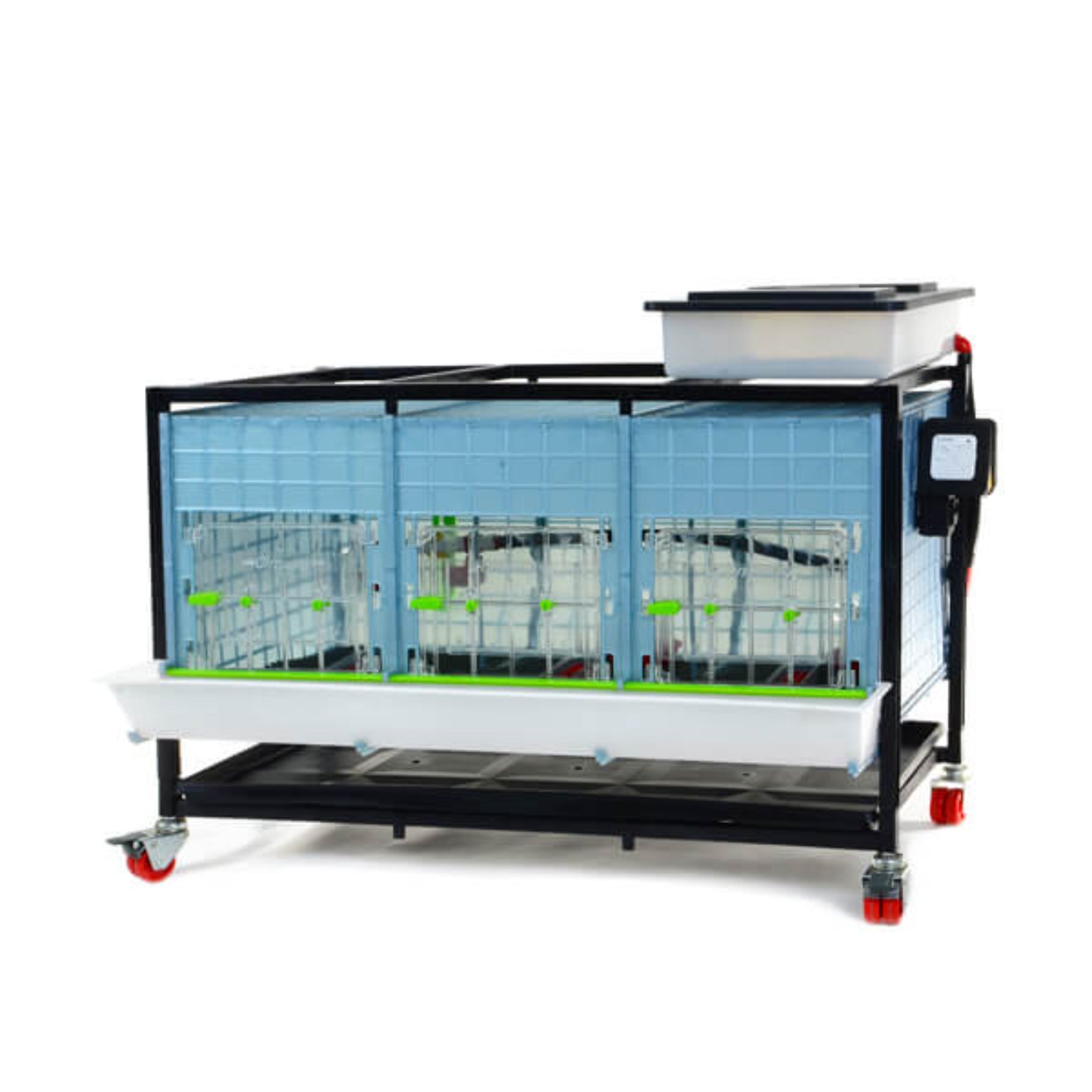Cimuka Chick Brooder - 1 Layer, 15" Height