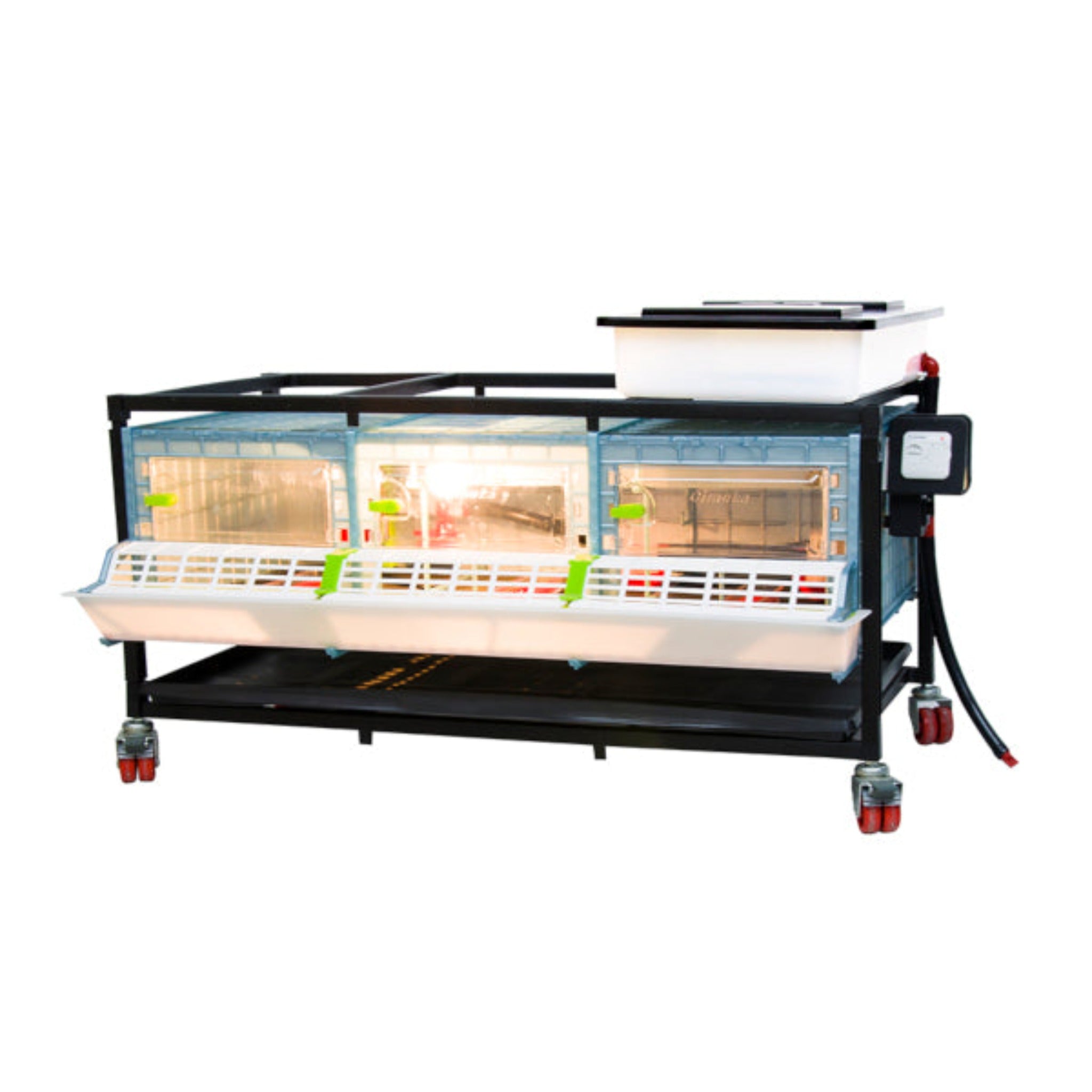 Cimuka Chick Brooder - 1 Layer, 9.5" Height