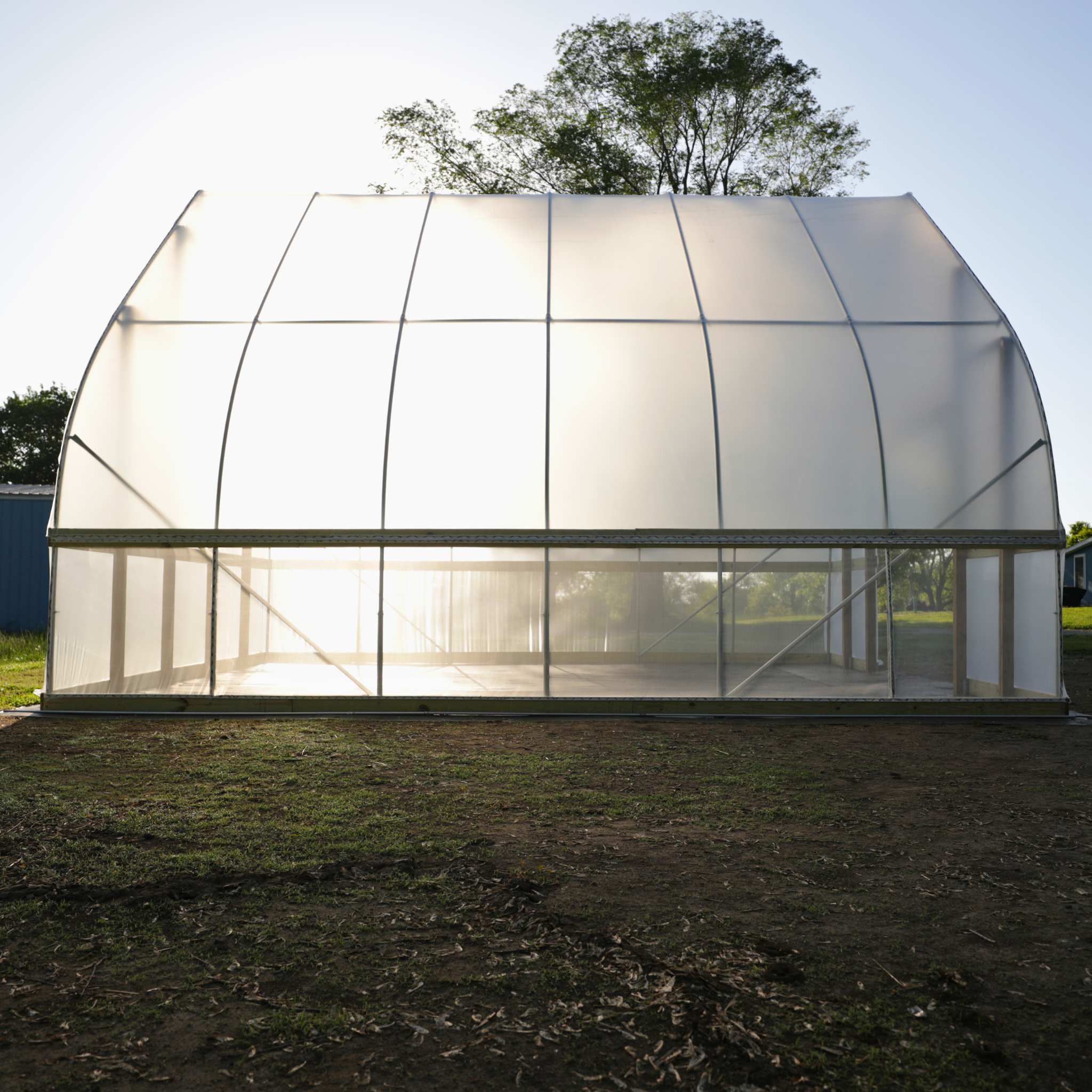 DIY Gothic Greenhouse Kit