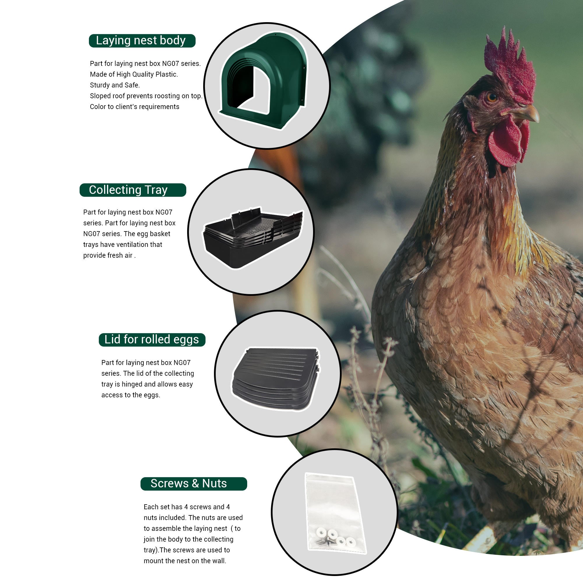 EggHouse Roll-Out Wall Mount Nesting Box - Up to 10 Birds
