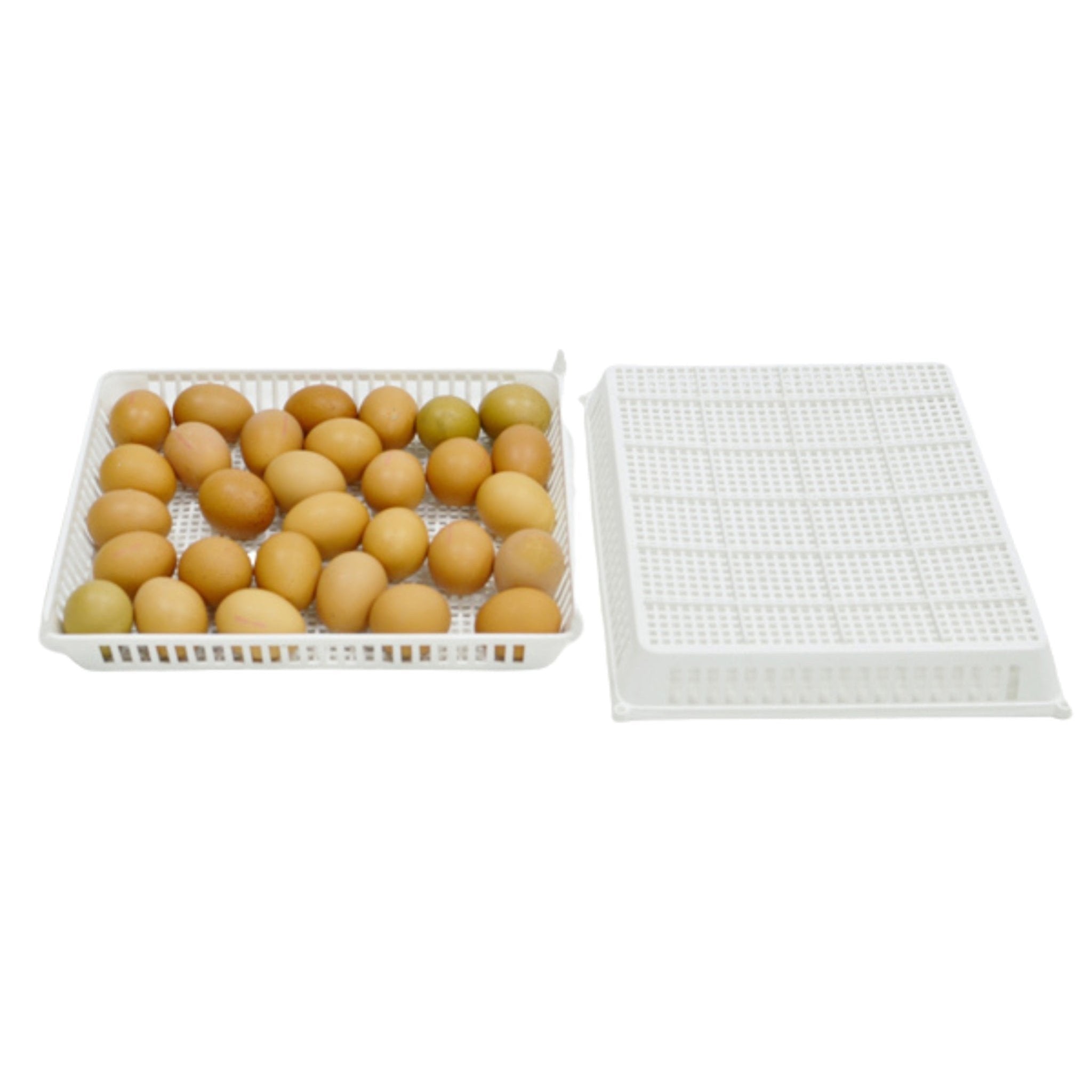 Cimuka Conturn 120 Set - Automatic Egg Turners & Hatch Baskets