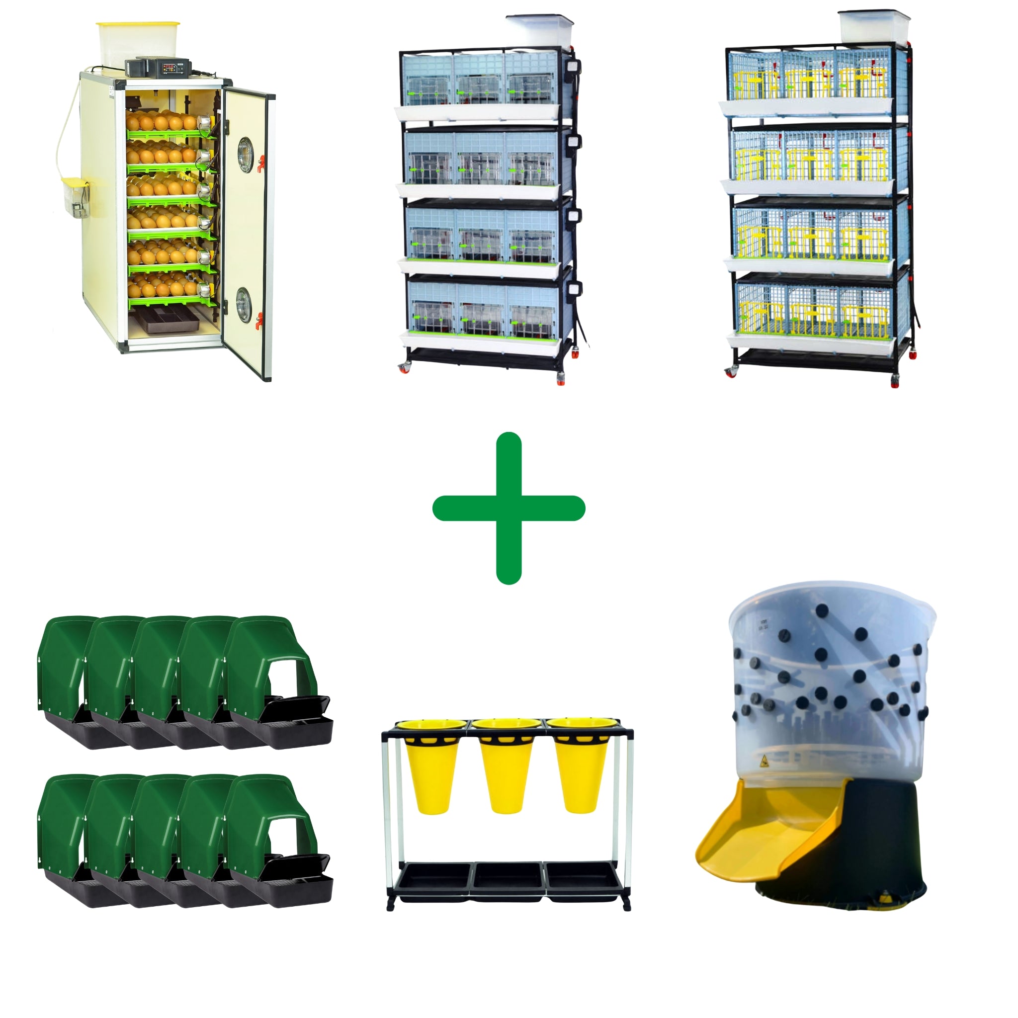 Hatching Time Free Range Chicken Pro Plus Kit - End to End Process