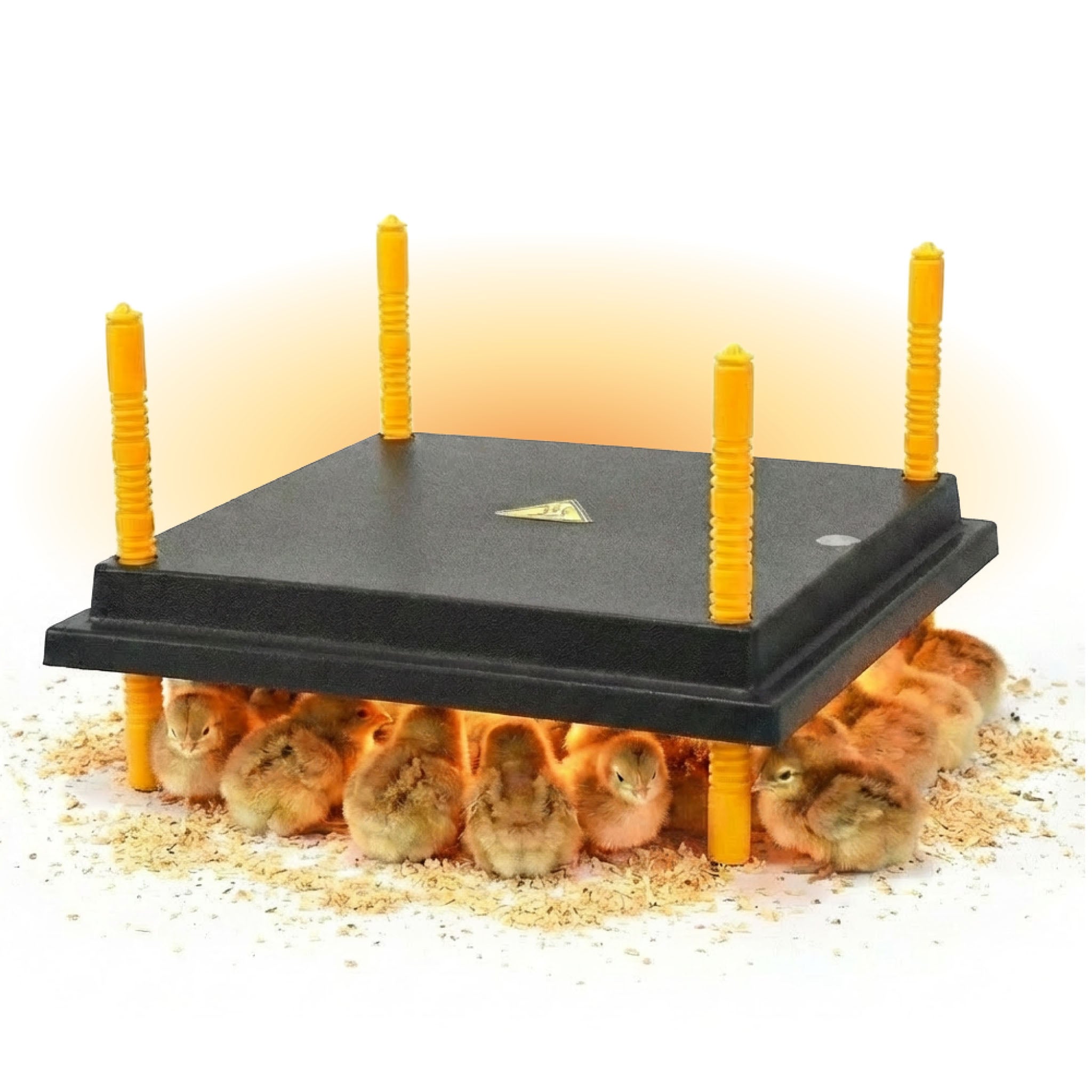 Hatching Time Warmzy Heating Plate 10" x 12" - 20-25 Chicks