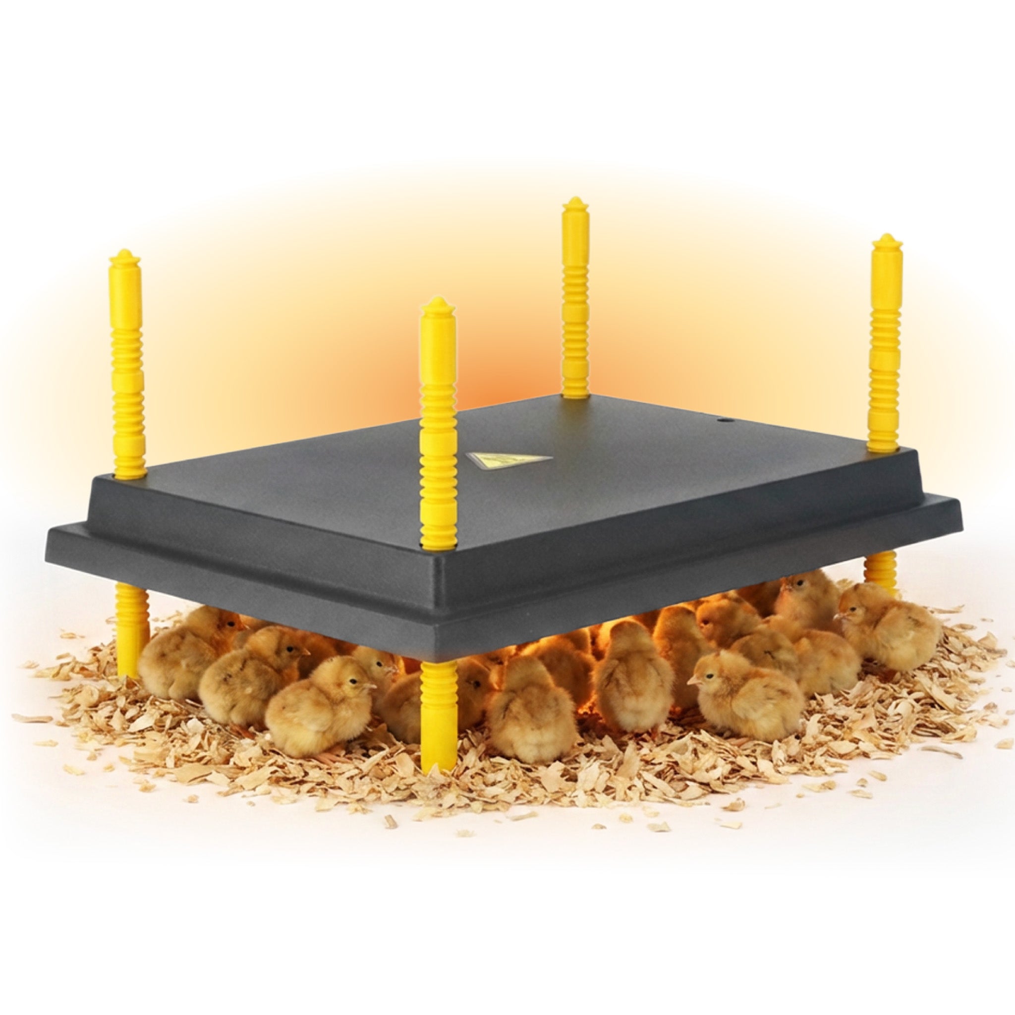 Hatching Time Warmzy Heating Plate 12" x 16" - 25-30 Chicks