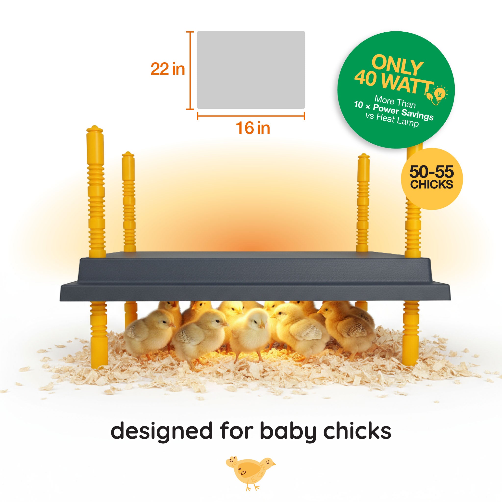 Hatching Time Warmzy Heating Plate 16" x 22" - 50-55 Chicks