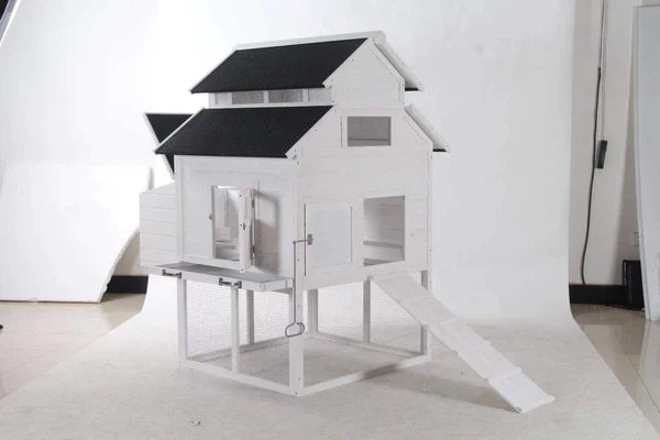 The Homestead House and Run