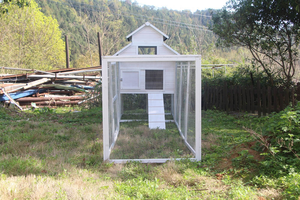 The Homestead House and Run