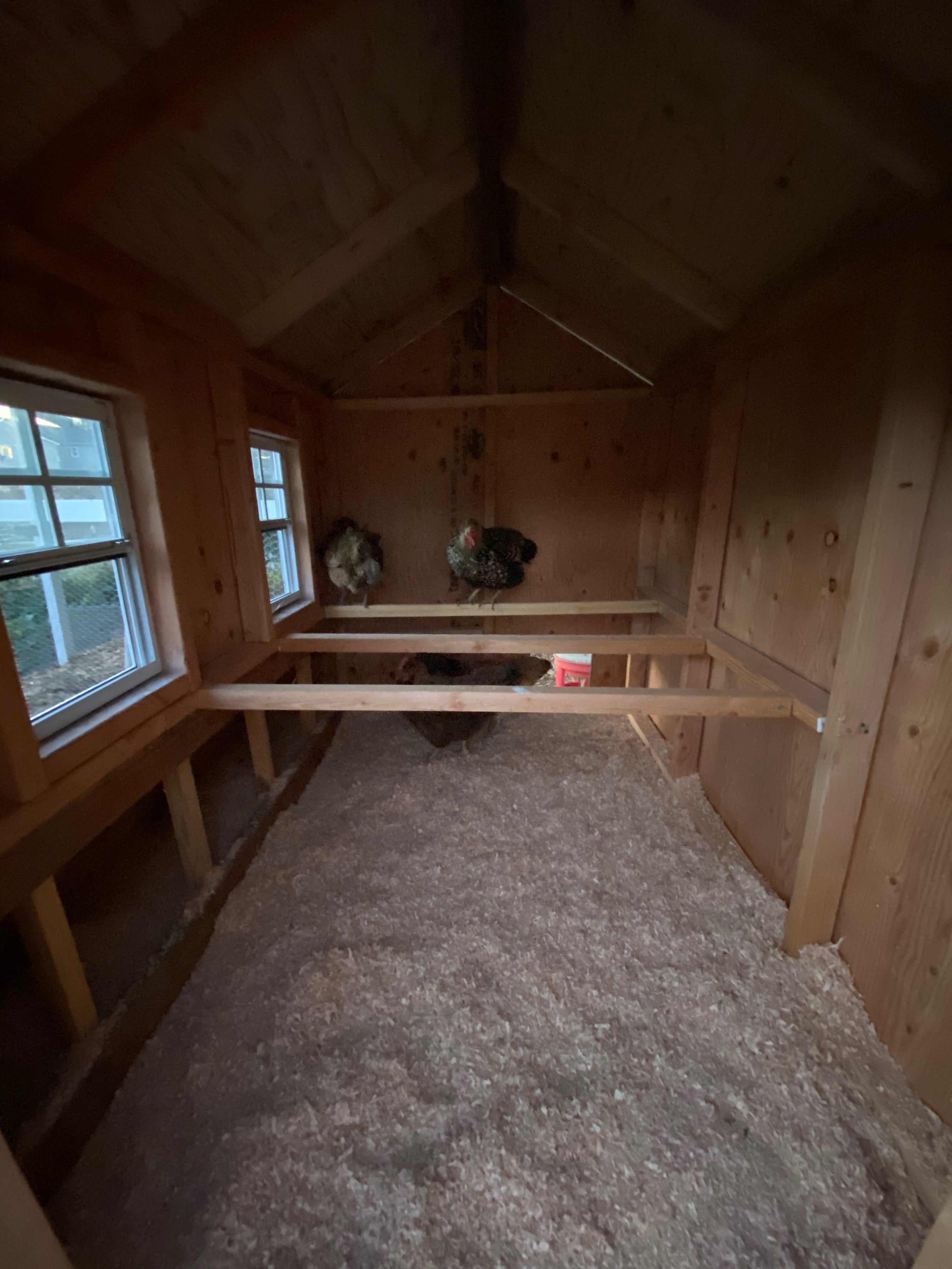 Large Chicken Coop Plans