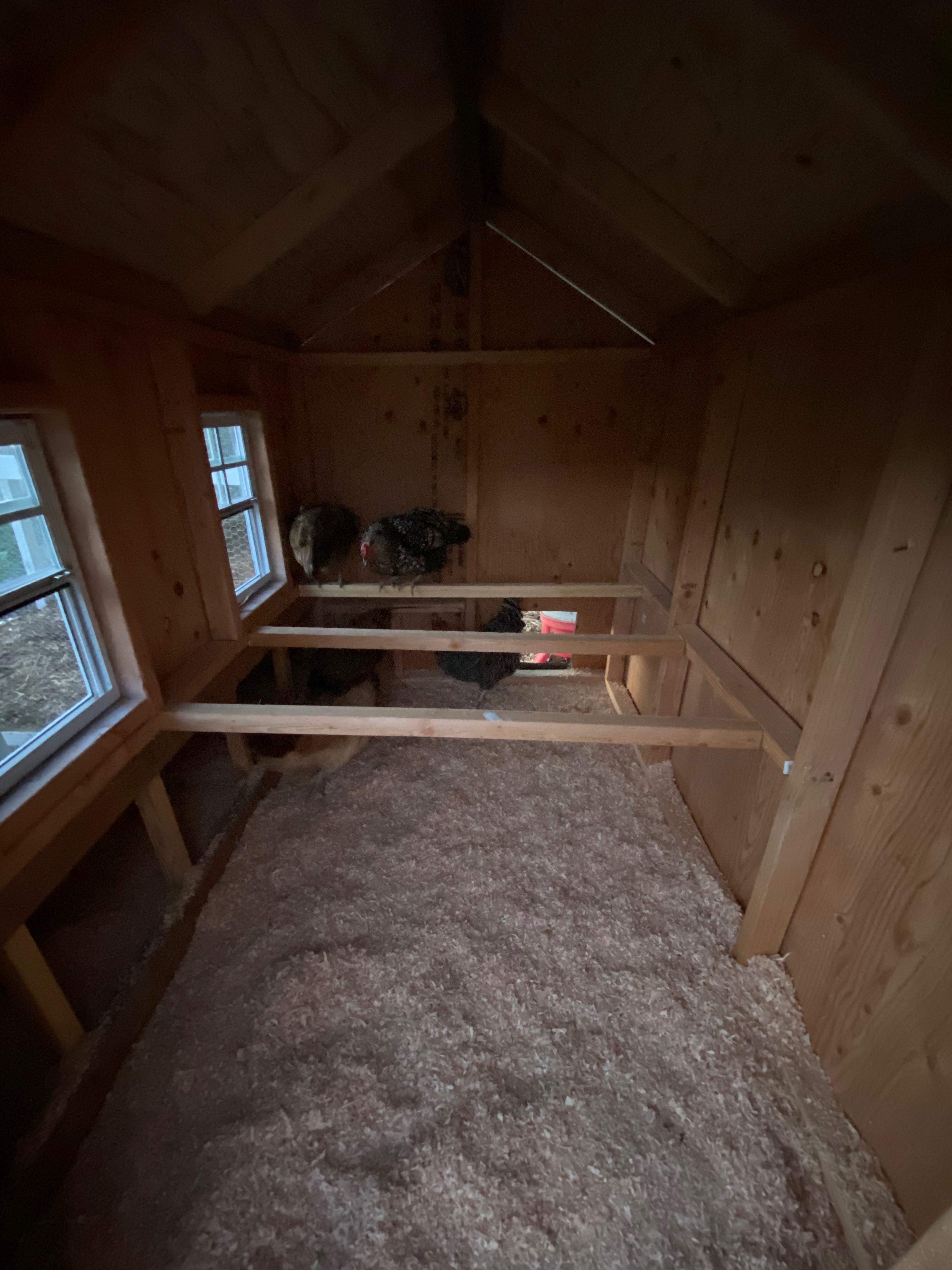 Large Chicken Coop Plans