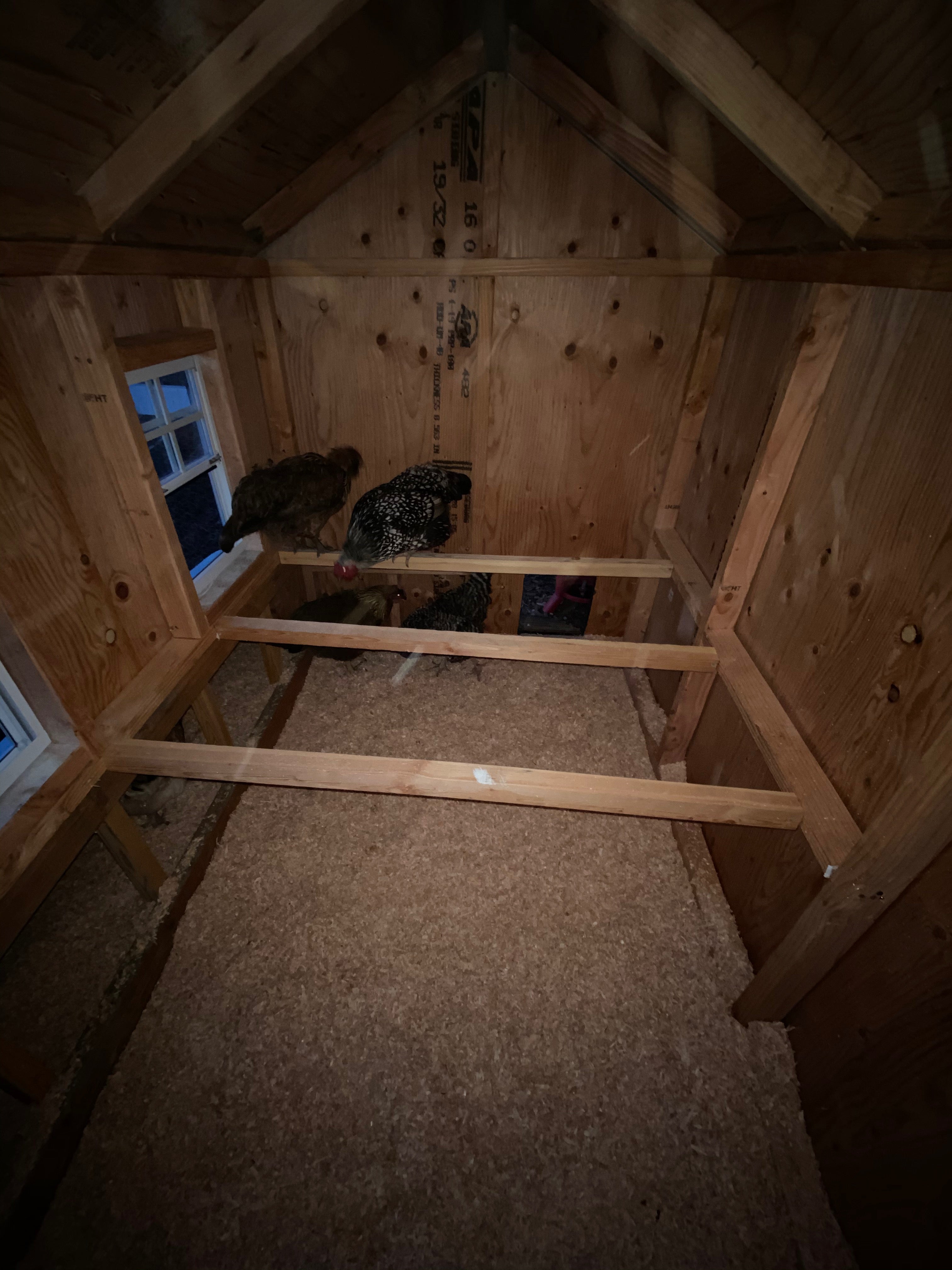 Large Chicken Coop Plans