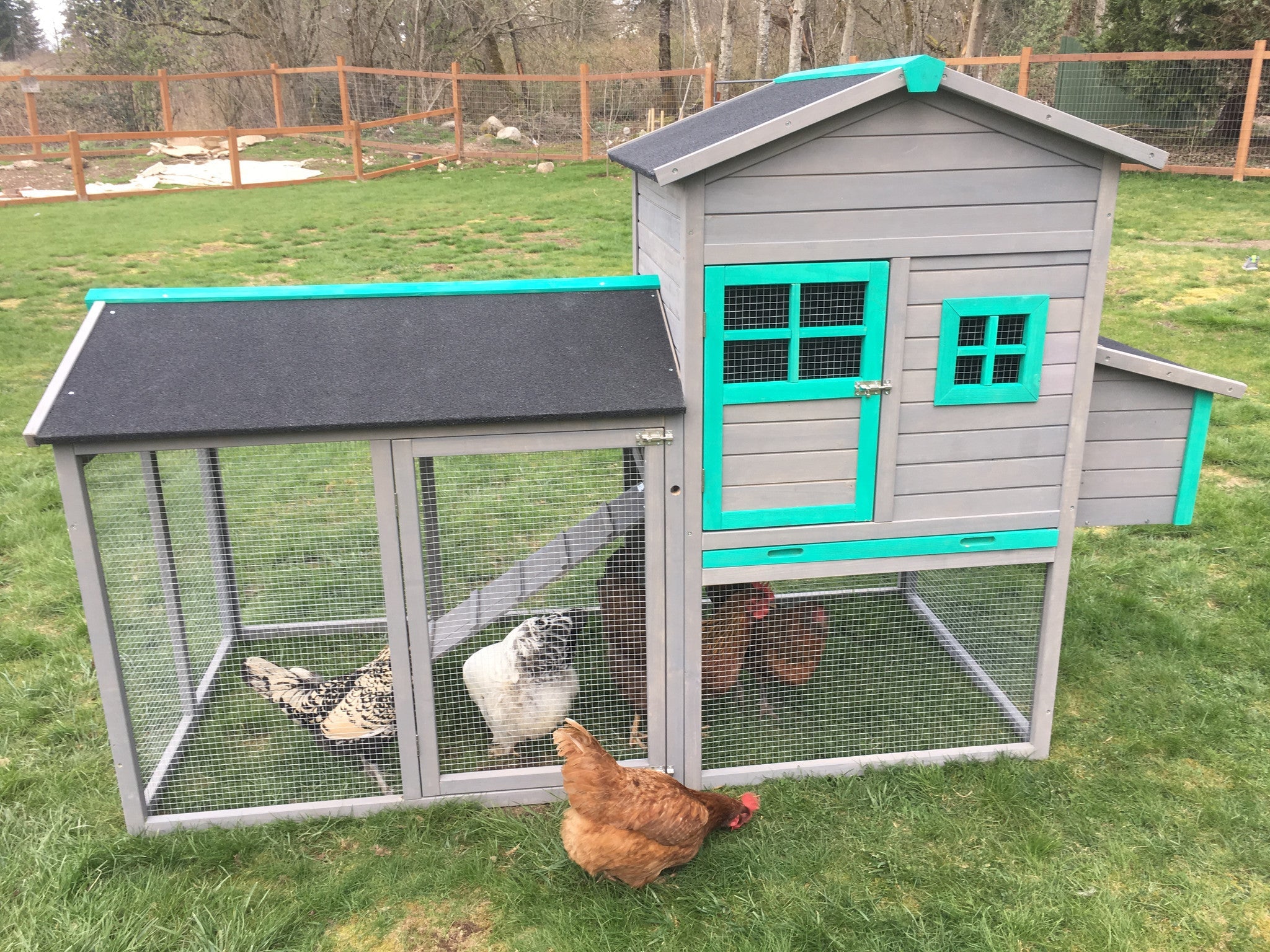 The Lodge Coop.   IN-STOCK