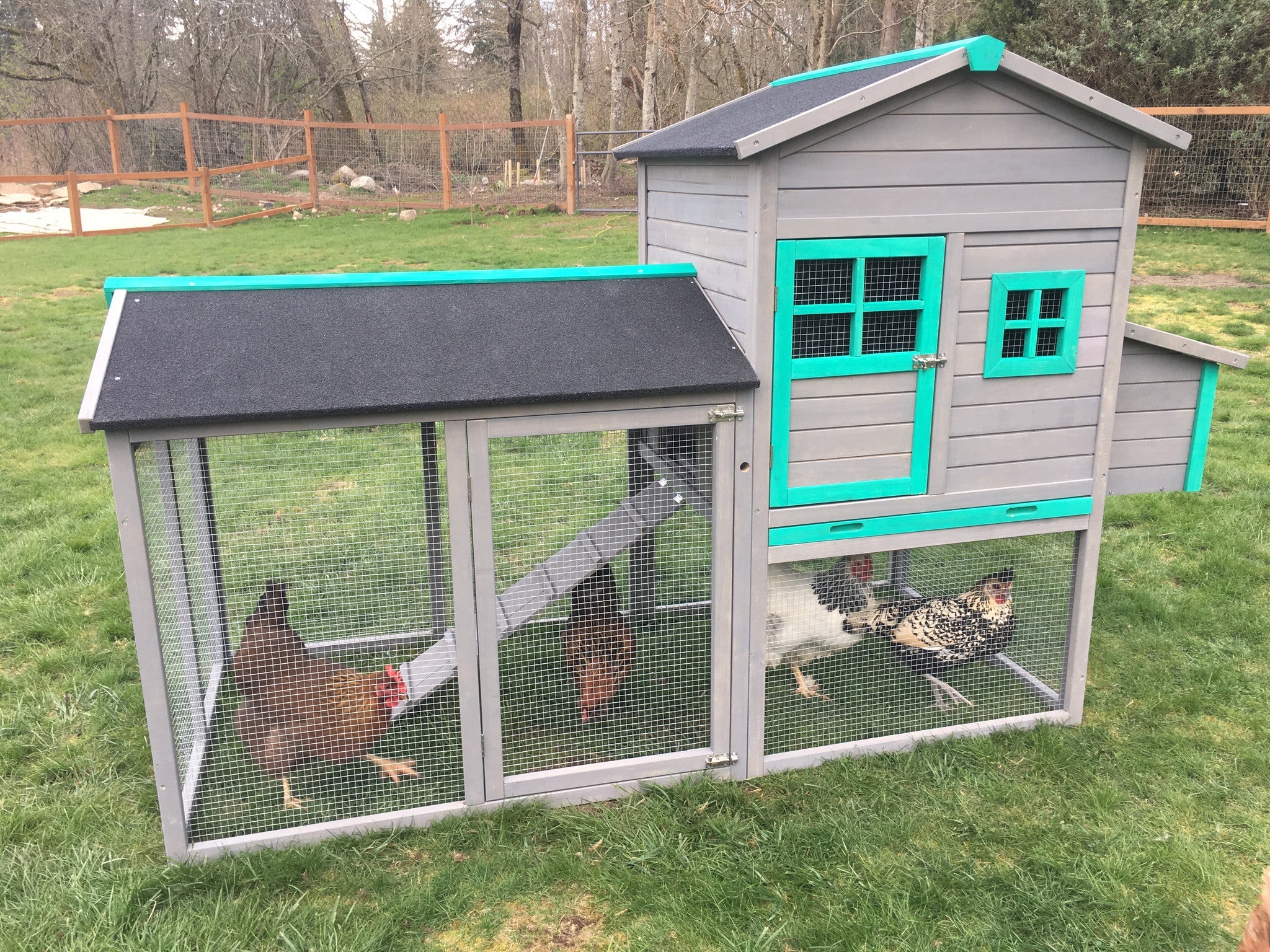 The Lodge Coop.   IN-STOCK