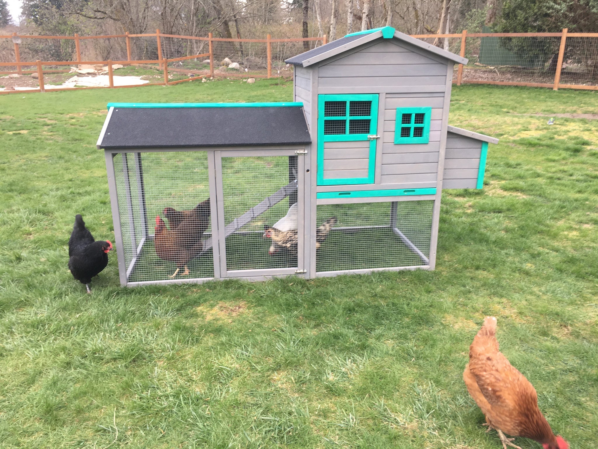 The Lodge Coop.   IN-STOCK