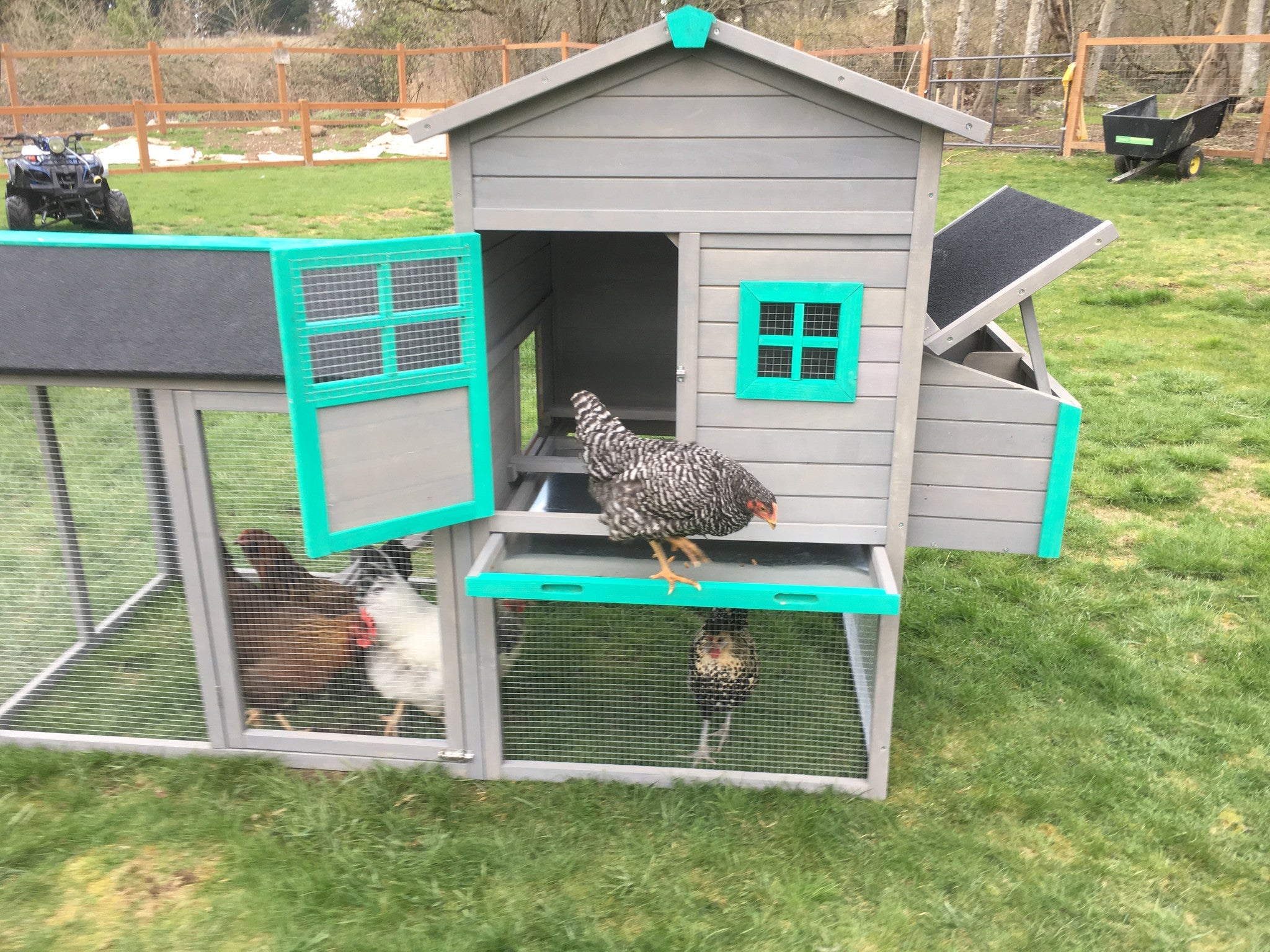The Lodge Coop.   IN-STOCK