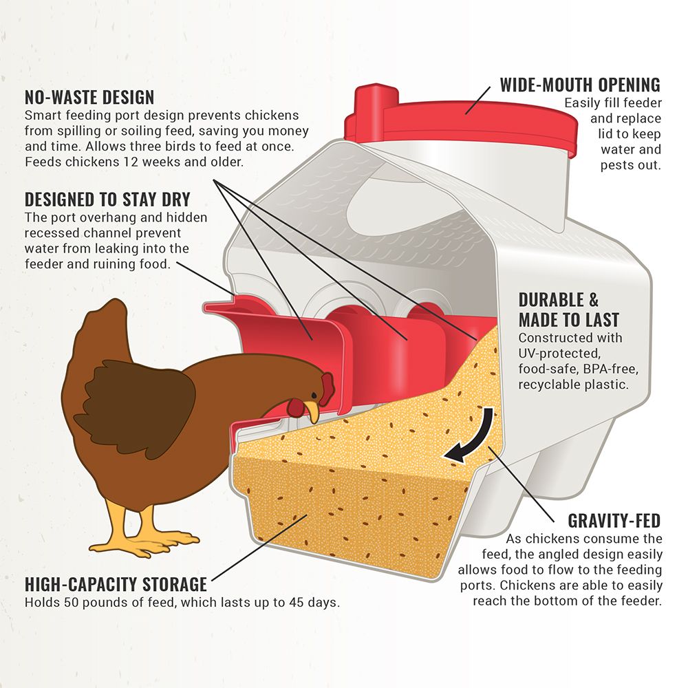 Diagram of a chicken feeder with features highlighted