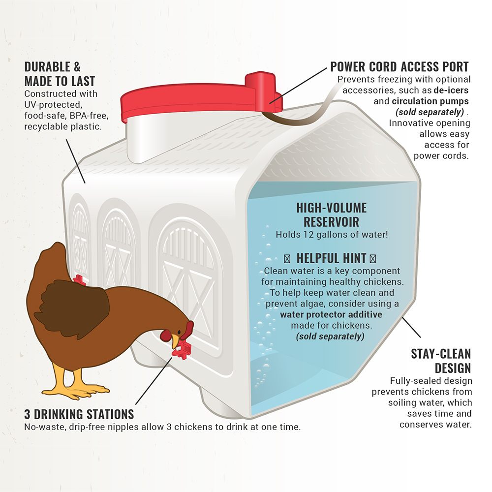 Chicken waterer with features highlighted on a white background